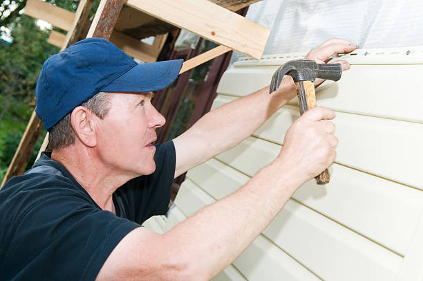 Best Carpet Removal and Disposal  in Birch Run, MI