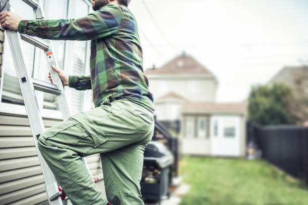 Best Dumpster Rental Services  in Birch Run, MI