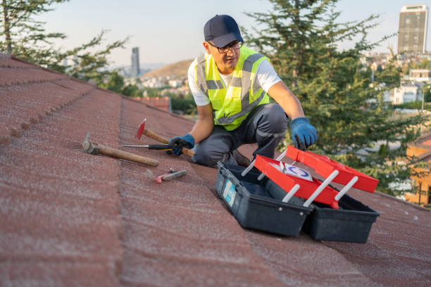 Best Shed Removal  in Birch Run, MI